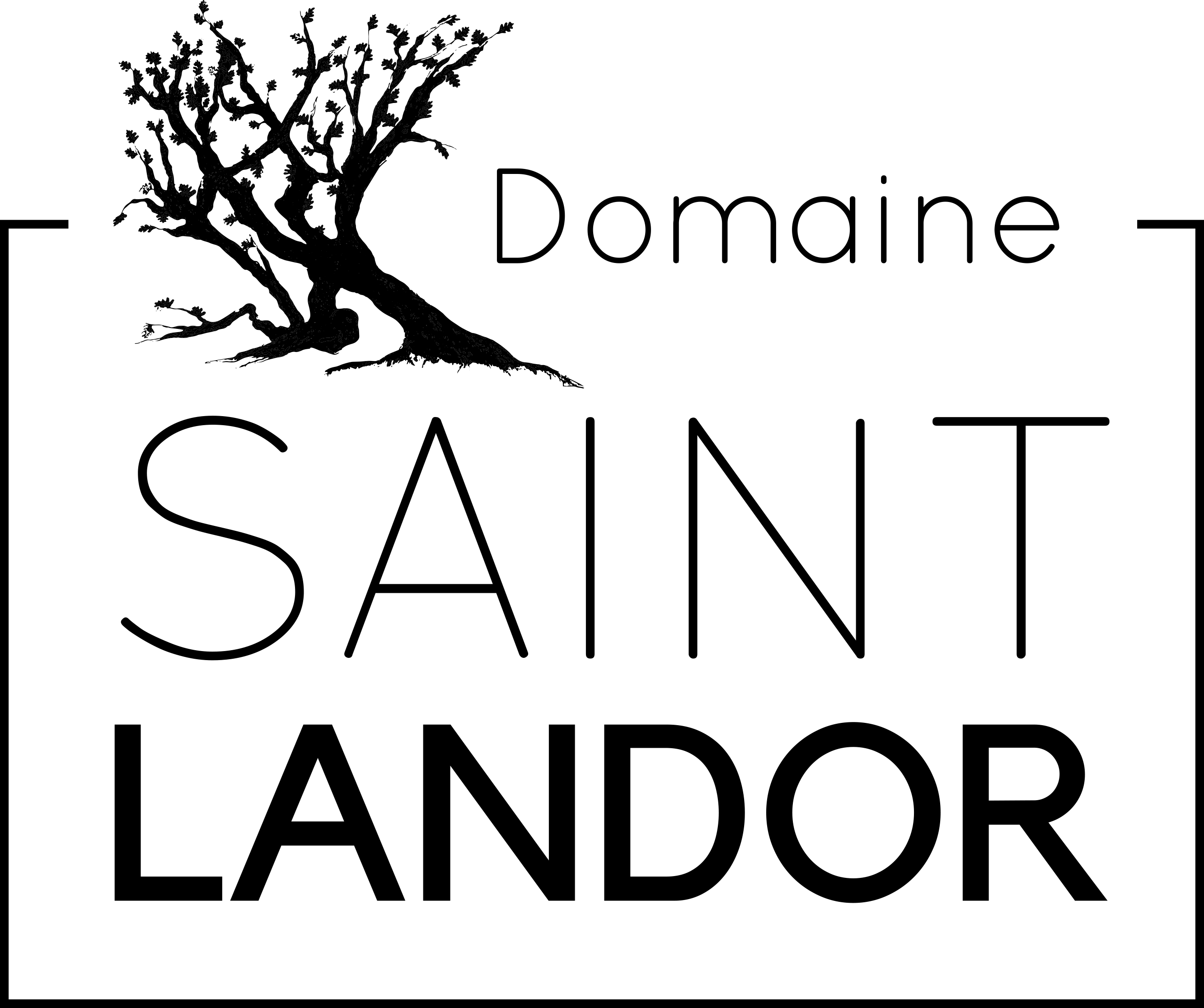 LOGO NOIR